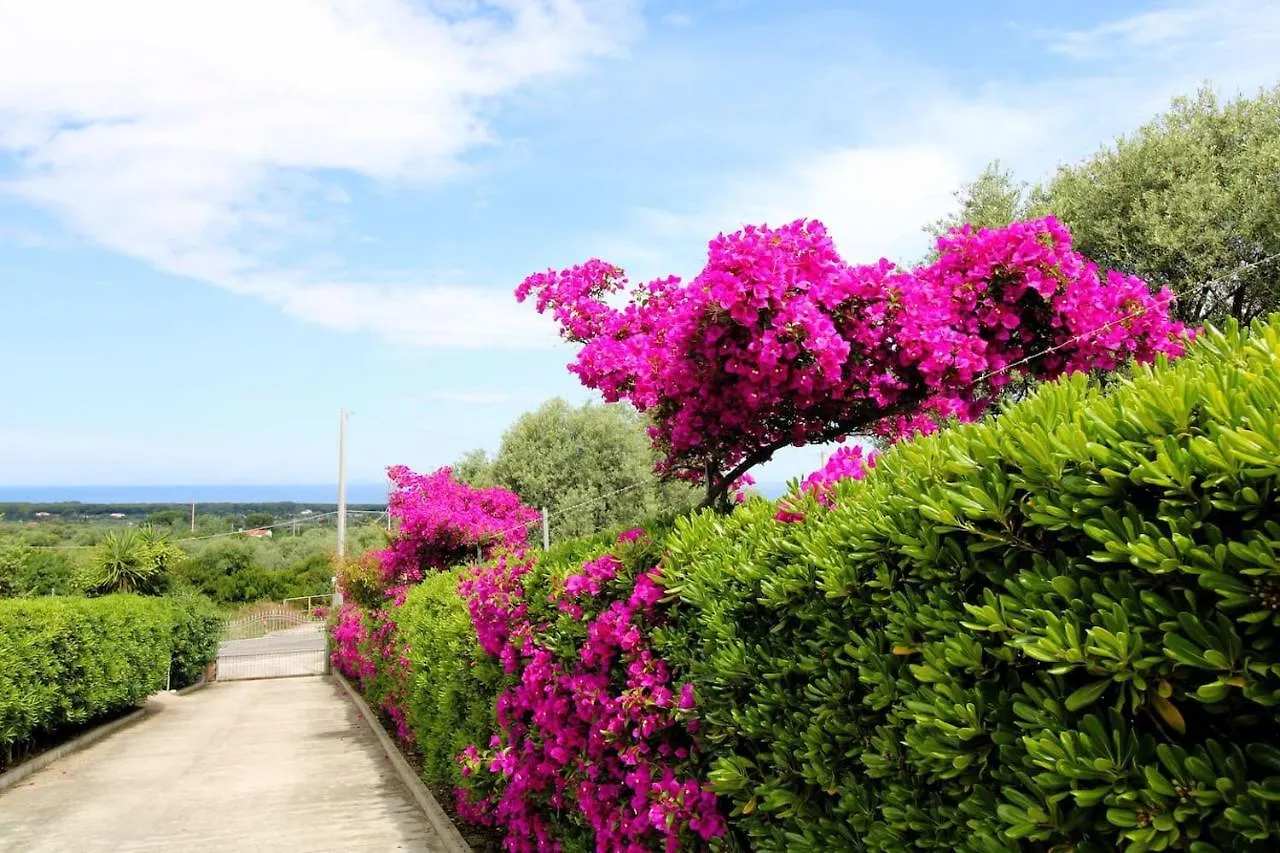 Attico Asinara Apartment Sorso Italy