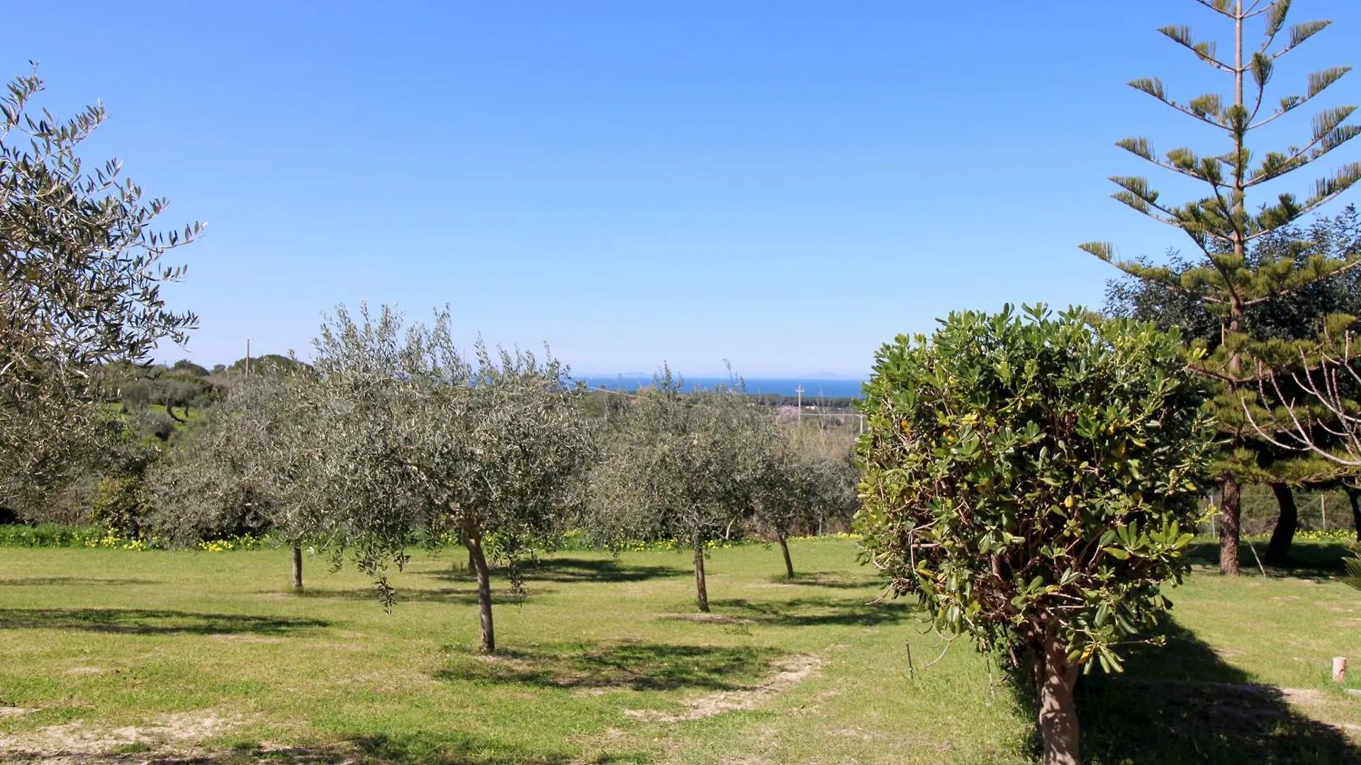 Attico Asinara Appartement Sorso